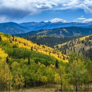 Meet your Posher, Deb